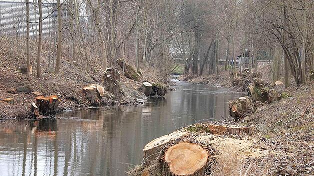 Abgeholzt und freiger&auml;umt: In den vergangenen Wochen sind B&auml;ume und Strauchwerk entlang der Itz zwischen Dammweg und Fu&szlig;g&auml;ngersteg entfernt worden.  Foto: Christoph Winter