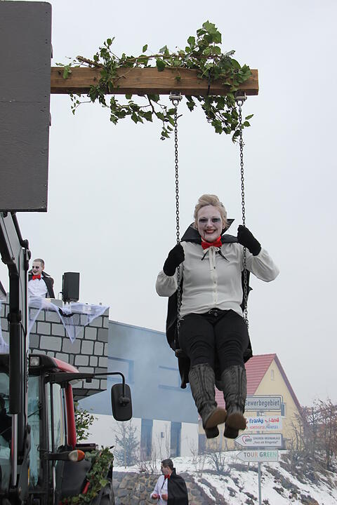 Faschingsumzug in Oberhaid