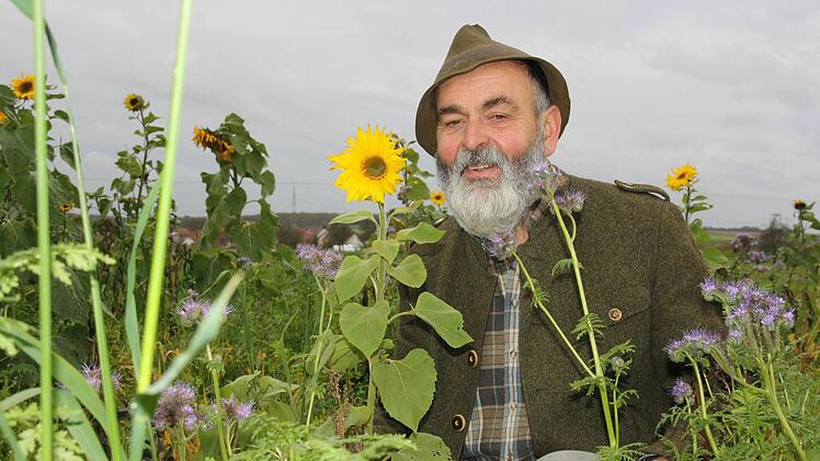 Sonnige Zeiten im November: Jäger und Landwirt Bert Grebner hat Rückzugsraum für viele Tierarten angelegt. Eine Augenweide - und gleichzeitig gut für die Artenvielfalt.  Foto: Diana Fuchs