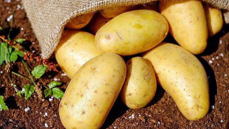 Coburger Kartoffelmarkt lockt mit Ständen und Kinderaktionen "rund um die Knolle"