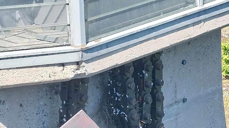Bambergerin in Sorge: "Dann werden die Tiere vermutlich zerquetscht"