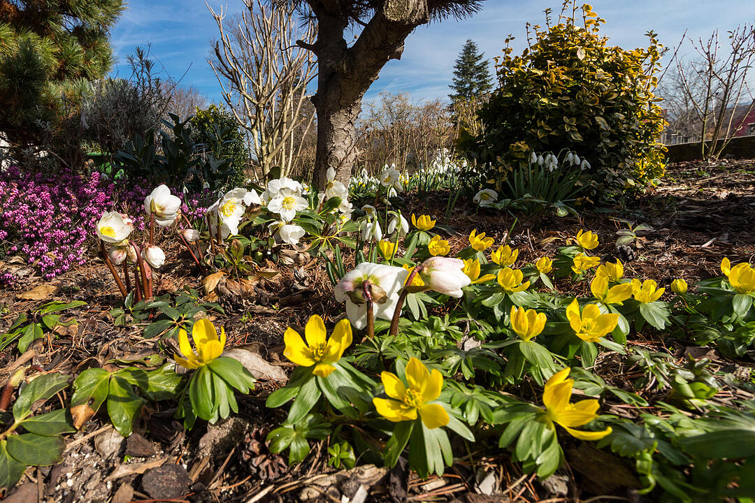 Fotos Konrad Thomann