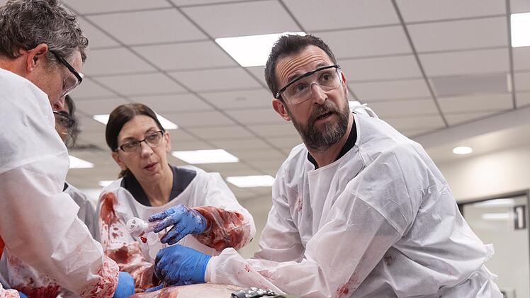 Leben retten - und dennoch gelassen bleiben. F&uuml;r seine vielschichtige Darstellung des Leiters einer Notaufnahme erhielt Schauspieler Noah Wyle endliche einen Emmy. F&uuml;r seinen Dr. Carter aus "ER" war er mehrere Male f&uuml;r den wichtigsten TV-Preis der Welt nominiert - und ging jedes Mal leer aus.