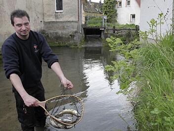 Fisch derzeit nur tote Fische aus der Trubach in Pretzfeld: Johannes Haas. Foto: Pelke