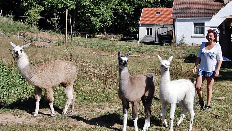 Züchterin Stephanie Parente (40) mit ihrem diesjährigen Lama-Nachwuchs Foto: Sigistmund von Dobschütz