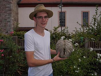 Anhand eines alten Nests der "mittleren Wespe" zeigt Wespenberater Julian Herbert, wie filigran der Aufbau eines Wespennestes ist. Foto: Marion Eckert