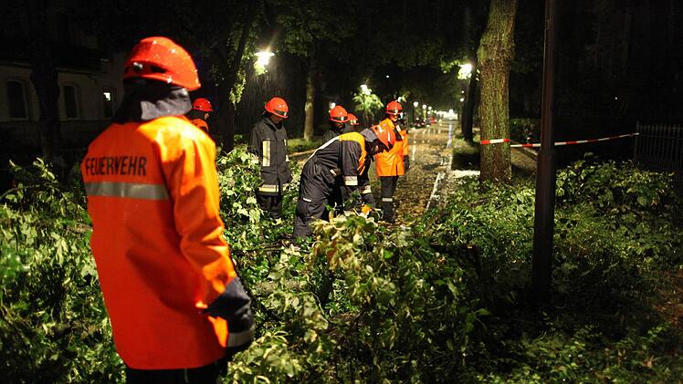 Foto: News5/Grundmann