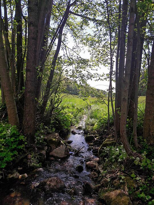 Die schönsten Fotos im Mai aus Bad Kissingen und Umgebung