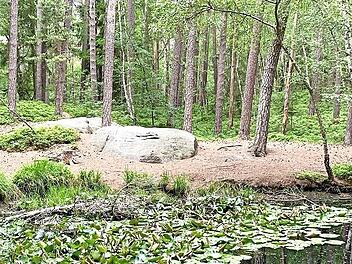Am „Schwarzen Teich“ vorbei führt die Rundwanderung in der „Einberger Schweiz“.