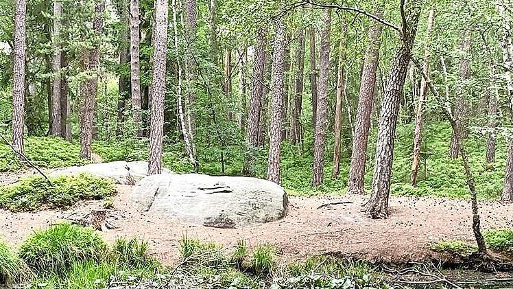 Am „Schwarzen Teich“ vorbei führt die Rundwanderung in der „Einberger Schweiz“.