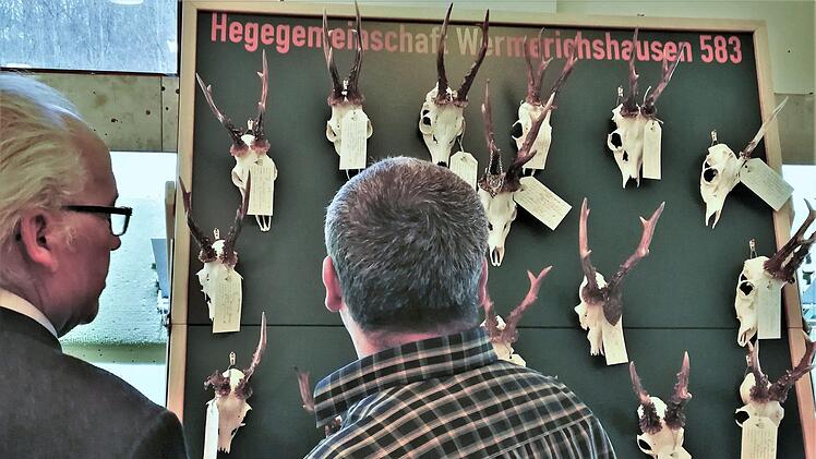 Besucher der Hegeschau betrachten ausgestellte Jagdtrophäen. Foto: Sigismund von Dobschütz