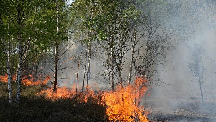 Waldbrand auf munitionsbelastetem Gel&auml;nde bei J&uuml;terbog
