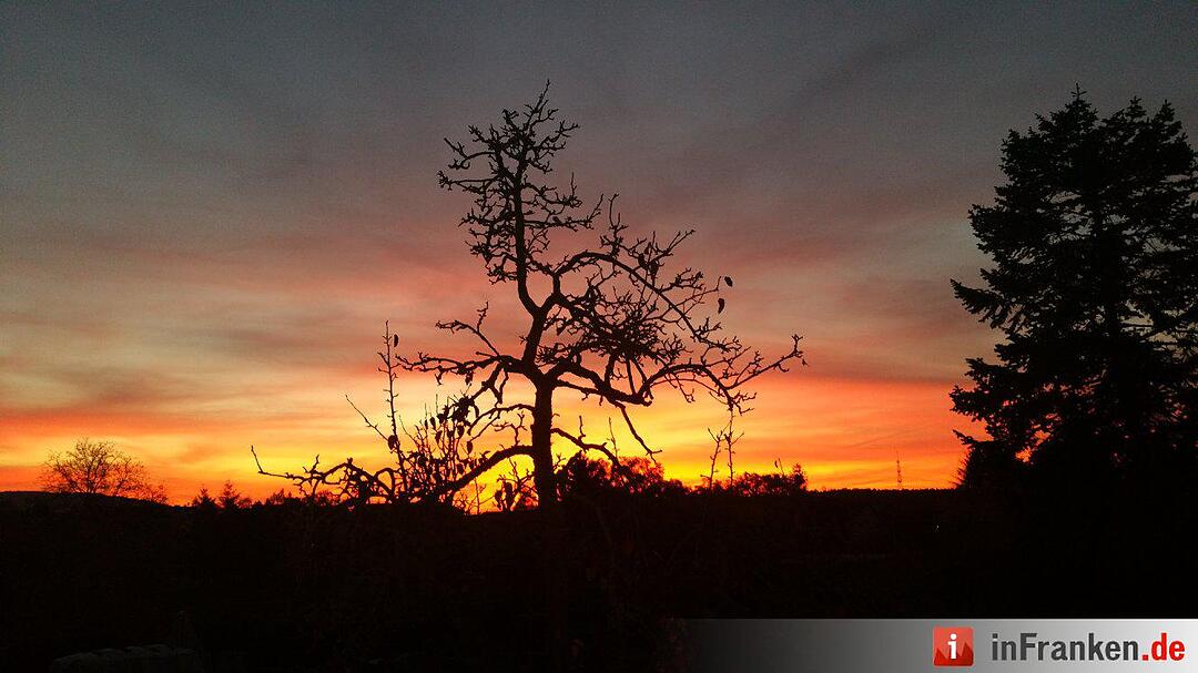 Abendrot vom 8.11.2015 - Die Bilder unserer Leser