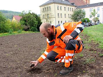 Drei neue Blühwiesen sollen in Kürze Insekten eine neue Heimat geben. Gärtner Peter Martin prüft den Boden vor dem alten Landratsamt. Foto: Julia Raab