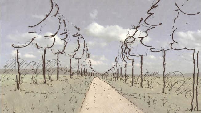 So würde die Allee aussehen.