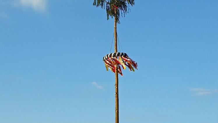 Der Baum steht wie eine Eins.