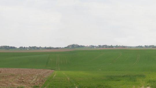 Stephan Kaluza: Waterloo. Carolin Herrmann