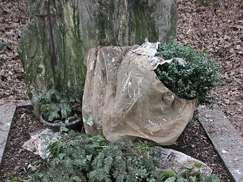 Trotz wöchentlicher Reinigung sieht das Grab so aus. Fotos: Ekkehard Roepert