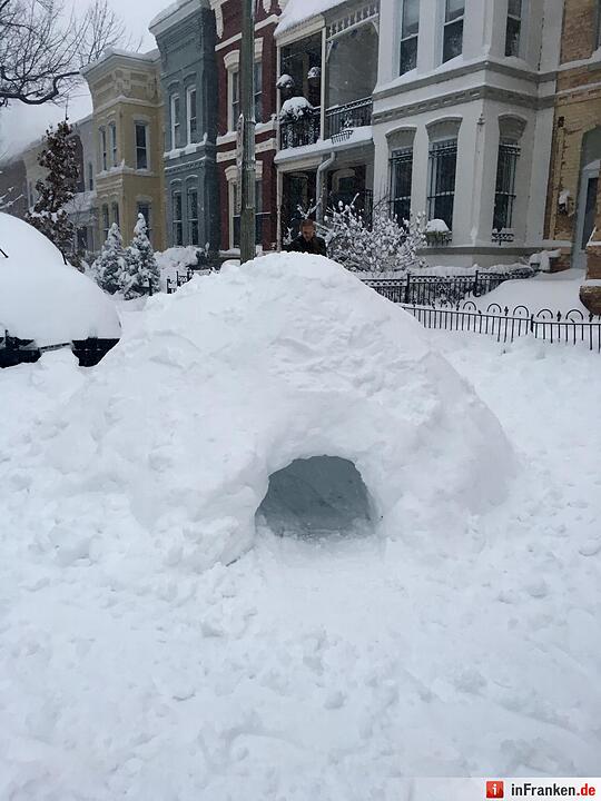 Iglu in Washington