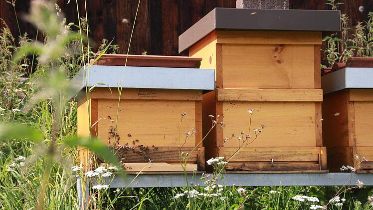 Es blüht viel für die Bienen in Unterleichtersbach. Foto: Carmen Schmitt