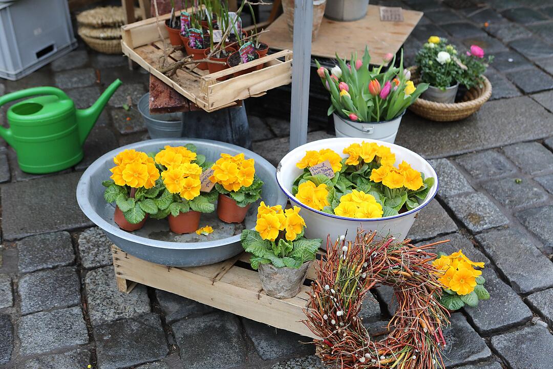 Frühling in Franken: Das Leben erwacht