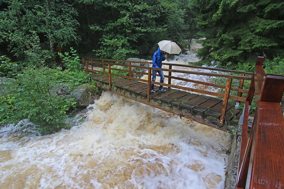 Dauerregen: Hochwasser in Teilen Deutschlands