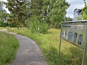 Auch in Bambergs Süden, an der Gutenbergstraße, gibt es Sandmagerrasenflächen - die sind sogar beschildert. Foto: Ronald Rinklef
