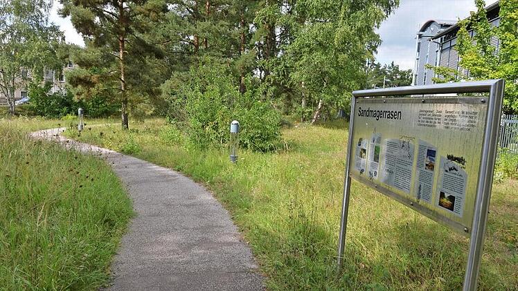 Auch in Bambergs Süden, an der Gutenbergstraße, gibt es Sandmagerrasenflächen - die sind sogar beschildert. Foto: Ronald Rinklef