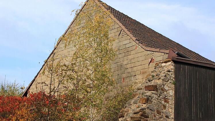 Ein Stück Stadtmauer ragt in das Grundstück hinein. Foto: Matthias Einwag