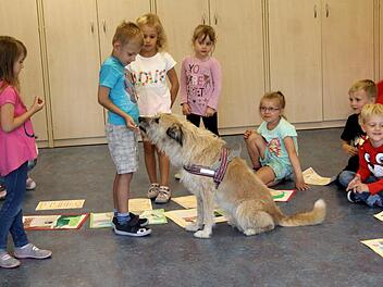 Zum Abschied gab es für Stella Leckerli und Streicheleinheiten. Foto: Richard Sänger