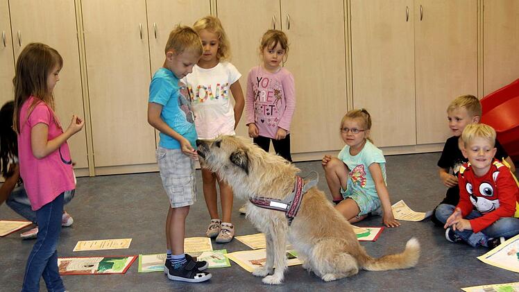 Zum Abschied gab es für Stella Leckerli und Streicheleinheiten. Foto: Richard Sänger