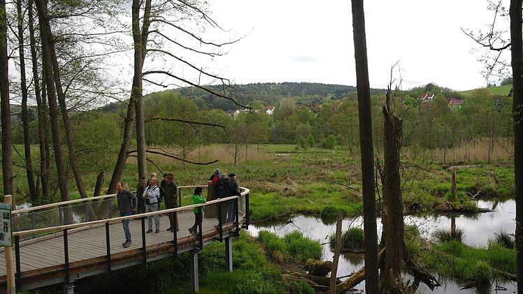 Die Biberplattform im Staatsbad direkt am Weg in Richtung Wernarzer Hütte ist jetzt eröffnet.  Foto: Stephanie Elm