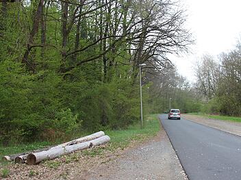 Die Gartenstraße nach der Ortsgrenze Haard in Richtung Hausen wird durch zwei Laternen ausgeleuchtet. Foto: Charlotte Wittnebel-Schmitz