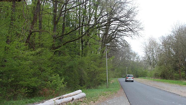 Die Gartenstraße nach der Ortsgrenze Haard in Richtung Hausen wird durch zwei Laternen ausgeleuchtet. Foto: Charlotte Wittnebel-Schmitz