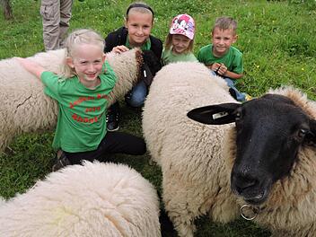 Paula, Anna-Lena, Magdalena und Jannik mit wolligen Freunden.