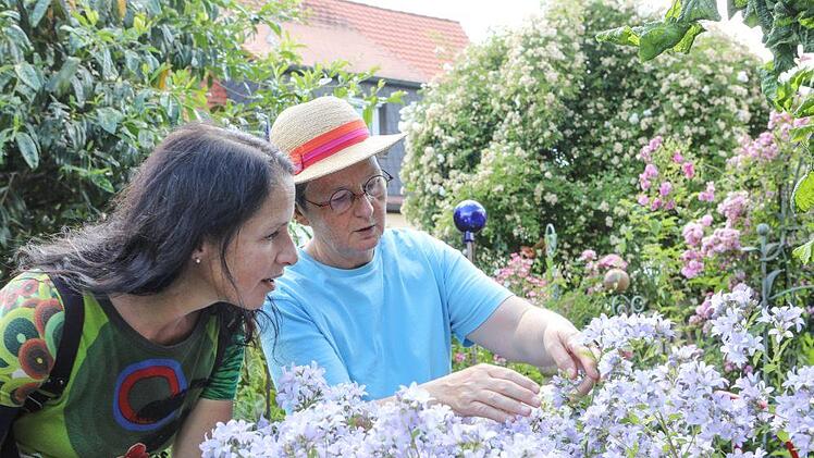 Impressionen aus Sonja Promeuschels Rosengarten Foto: Barbara Herbst