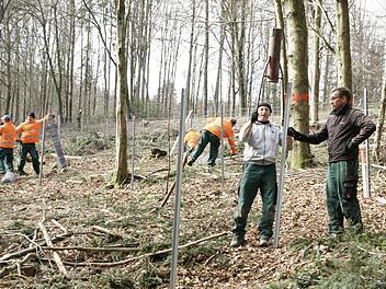Unterhalb der Staatsstraße 2790 von Bad Brückenau Richtung Buchrasen zogen Mitarbeiter einer Landschaftsbau-Firma am Freitag einen Zaun. Er soll den künftigen Lebensbereich der Haselmaus vor Wildverbiss schützen. Foto: Steffen Standke