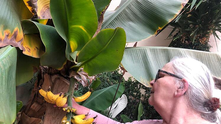 Angelika Beichel vor der halb abgeernteten Bananenstaude