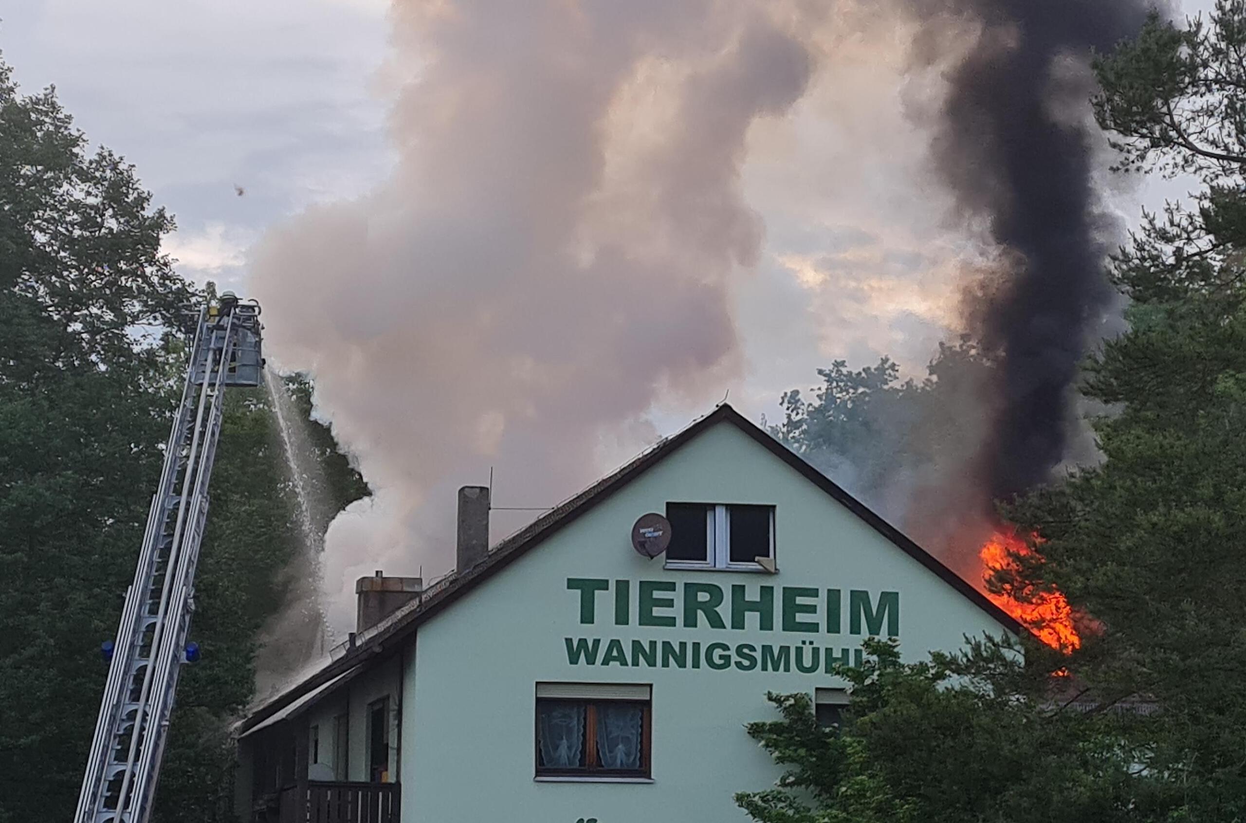 die feuerkatastrophe im tierheim wannigsmuhle was passierte wie gehts weiter