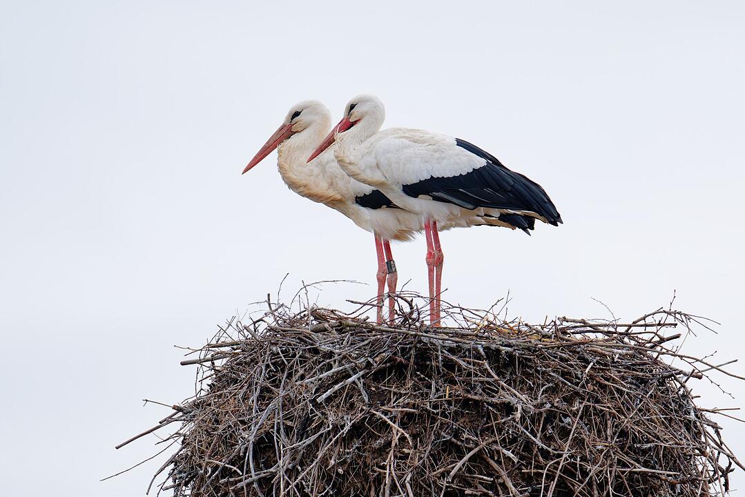 Wetter in Baden-W&uuml;rttemberg