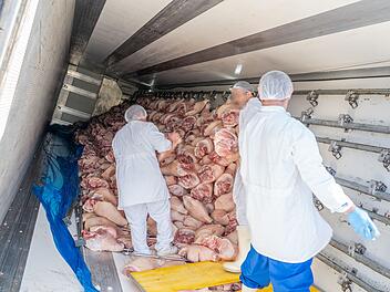 Lastwagen kippt in Baustelle um: 21 Tonnen Fleisch geladen