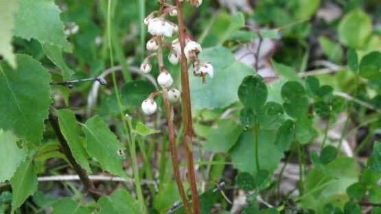 Foto: Stephan Neumann
