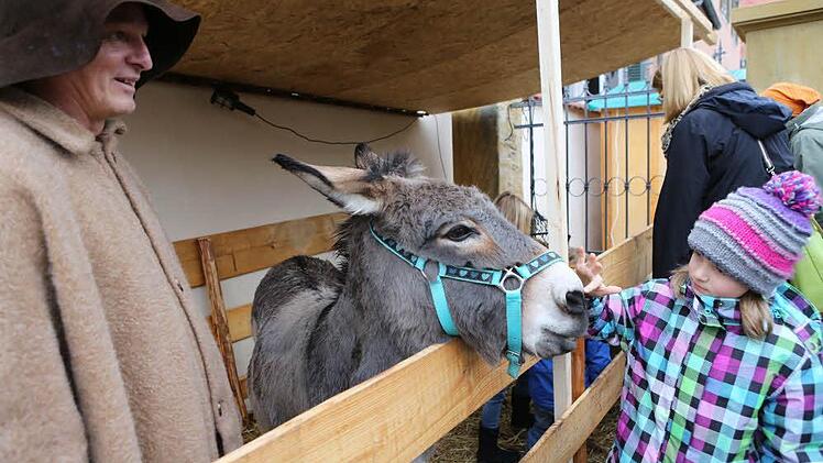 Foto: Barbara Herbst