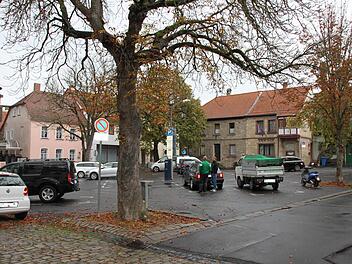 Der Stadtrat stimmte den Plänen für eine Umgestaltung des Viehmarktes zu. Dabei sollen zwei der alten Kastanien, im Vordergrund sowie links vor dem Europahaus, erhalten werden. Foto: Markus Reeh