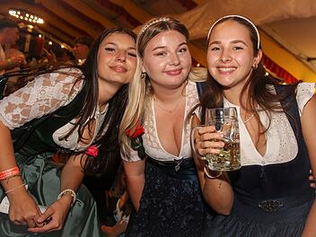 Endlich wieder Weinfest in Abtswind.