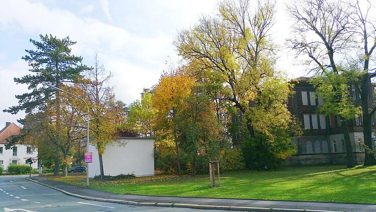 Das Fällen des Baumbestandes am bisherigen VHS-Park tut den Stadträten weh. Andererseits hat man evtl. sogar eine Verbesserung in Sicht.K.-H. Hofmann