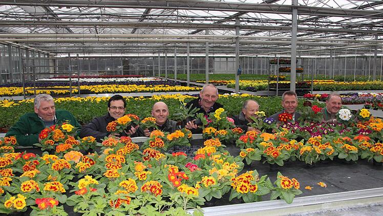Stadtgärtner Johannes Lindner, Quartiersmanager André Hahn, der städtische Natur-in-Kitzingen-Geschäftsführer Hilmar Hein, Lindners Stellvertreter Edi Ritz, Gerhard Lauck, Oberbürgermeister Siegfried Müller und Gärtnerobermeister Heiner Lang zeigen ihre Vorfreude durch die Blume. Foto: Diana Fuchs