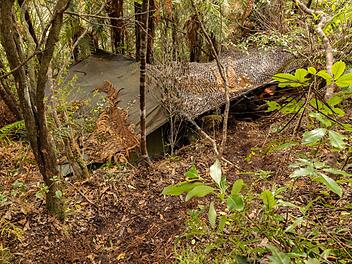 Versteck des Kindesentführers Tom Phillips in Neuseelands Wildnis