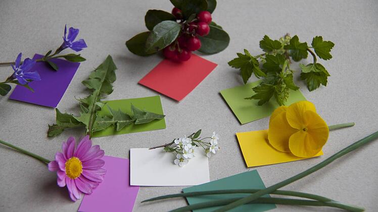 Die Farbkarten-Schatzsuche ich mal etwas ganz anderes.