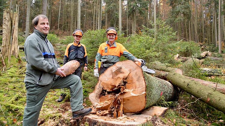 Die Fichte bezeichnen die Forstleute auch als Brotbaum. Schließlich wächst der Nadelbaum schnell und ist relativ pflegeleicht - vorausgesetzt er hat wie hier imStralsbacher Rainschlag optimale Voraussetzzungen. Förster Joachim Dahmer stattet hier Stephan Epp und Andreas Bauer einen Besuch ab, die die Fichten derzeit fällen.  Foto: Kathrin Kupka-Hahn